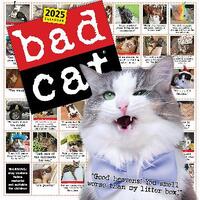 Bad Cat Wall Calendar 2025: Celebrating the Misfits of the Feline World