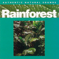 Rainforest (1 CD)