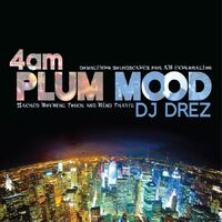 CD: 4am Plum Mood