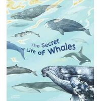 Secret Life of Whales, The