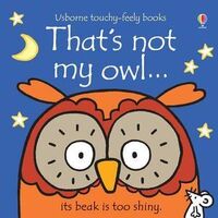 That's Not My Owl