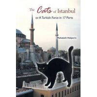 Cats of Istanbul