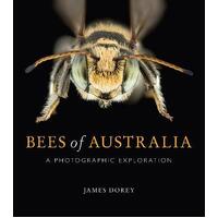 Bees of Australia