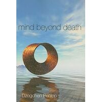 Mind Beyond Death