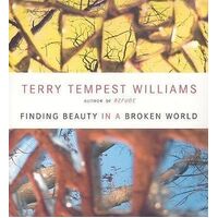 CD: Finding Beauty in a Broken World (3 CD)