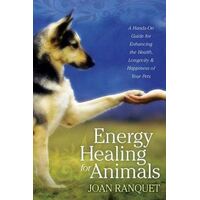 Energy Healing for Animals