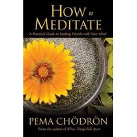 How to Meditate: A Practical Guide to Making Friends with Your Mind