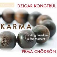 CD: Karma - Finding Freedom in this Moment