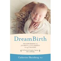 DreamBirth: Transforming the Journey of Childbirth Through Imagery