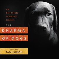 Dharma of Dogs, The: Our Best Friends as Spiritual Teachers