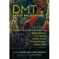 DMT Entity Encounters