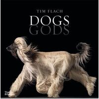 Dogs Gods