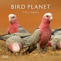 Bird Planet