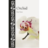 Orchid