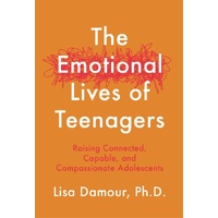 Emotional Lives of Teenagers