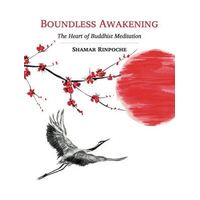 Boundless Awakening: The Heart of Buddhist Meditation