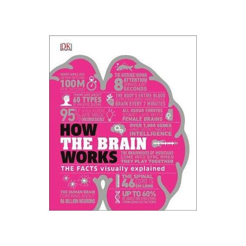 How the Brain Works: The Facts Visually Explained
