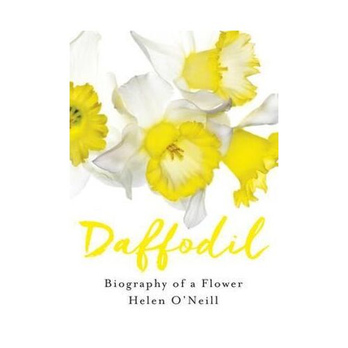 Daffodil