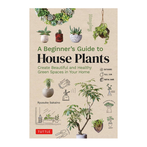 Beginner's Guide to House Plants