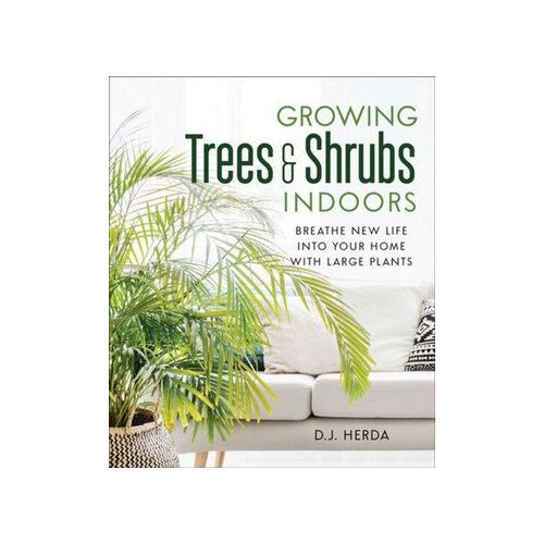 Growing Trees and Shrubs Indoors: Breathe New Life into Your Home with Large Plants