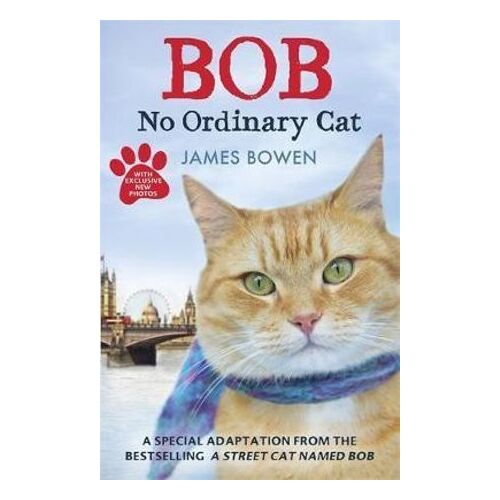Bob: No Ordinary Cat