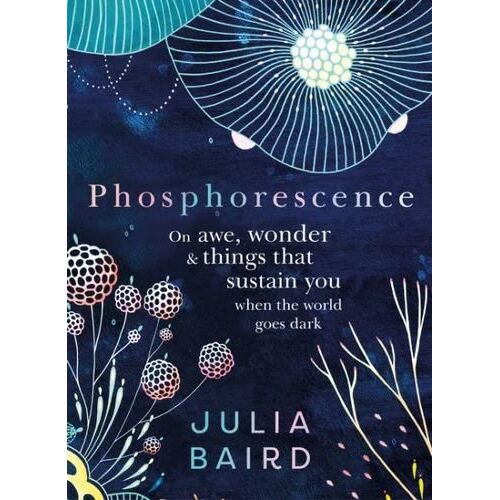 Phosphorescence: On awe, wonder and things that sustain you when the world goes dark