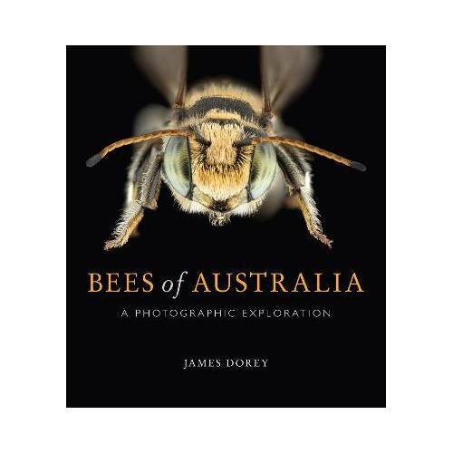 Bees of Australia