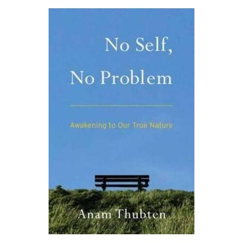 No Self, No Problem: Awakening to Our True Nature