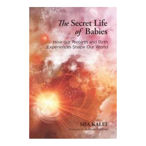 Secret Life of Babies, The: How Our Prebirth and Birth Experiences Shape Our World