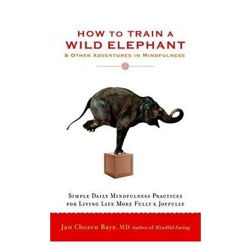 How to Train a Wild Elephant: And Other Adventures in Mindfulness