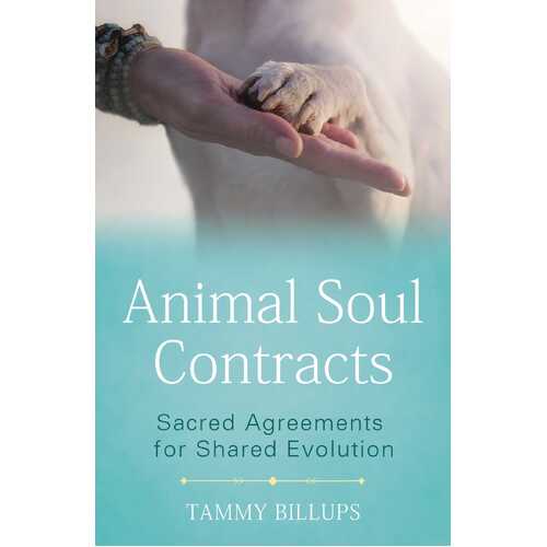 Animal Soul Contracts: Sacred Agreements for Shared Evolution