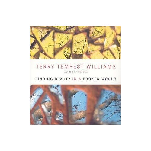 CD: Finding Beauty in a Broken World (3 CD)