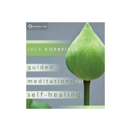 CD: Guided Meditations for Self-Healing (2 CD)