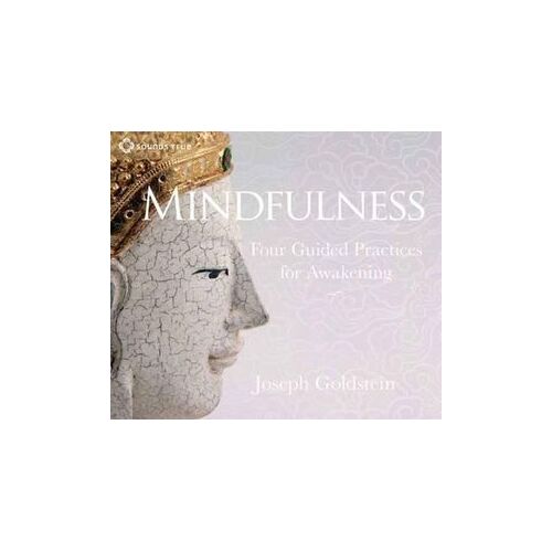 CD: Mindfulness (3CDs) (Joseph Goldstein)