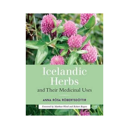 Icelandic Herbs and Their Medicinal Uses