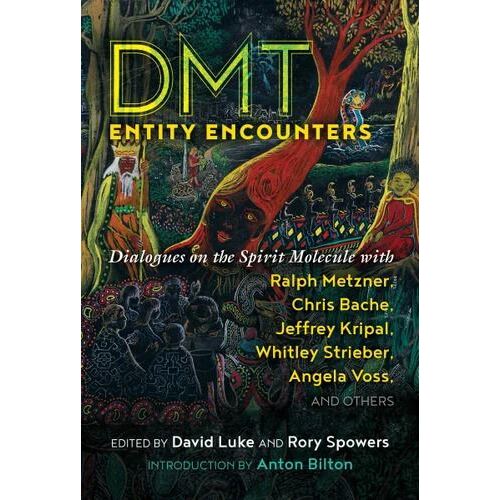 DMT Entity Encounters