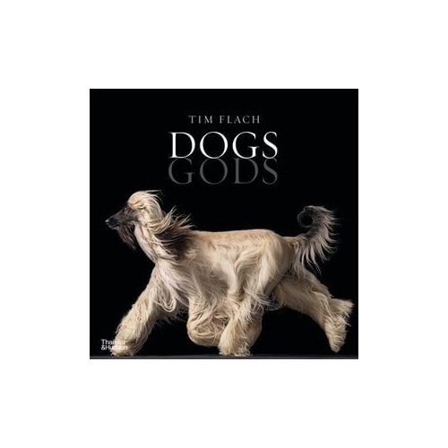 Dogs Gods