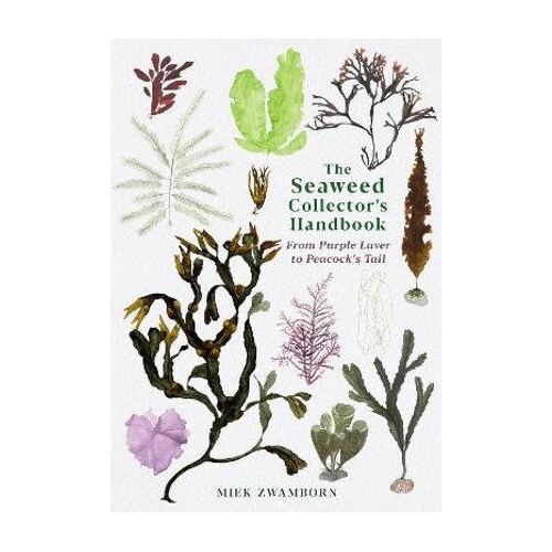 Seaweed Collector's Handbook