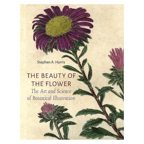 Beauty of the Flower, The: The Art and Science of Botanical Illustration