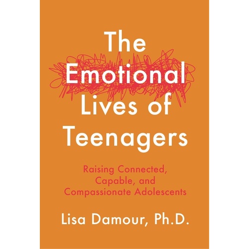 Emotional Lives of Teenagers
