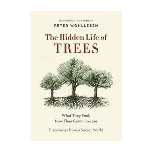 Hidden Life of Trees