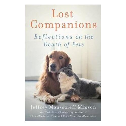 Lost Companions: Reflections on the Death of Pets
