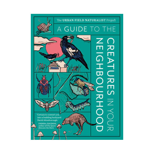 A Guide to the Creatures in Your Neighbourhood