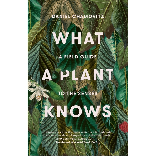What a Plant Knows: A Field Guide to the Senses (Revised Edition)
